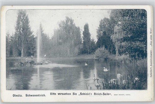 12041154 oelmuetz - 12041154,