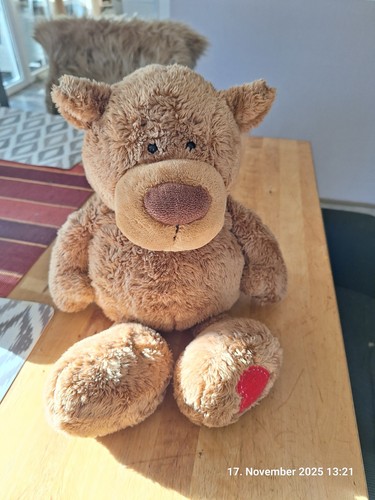 Plüschtier teddy bär - plüschtier,