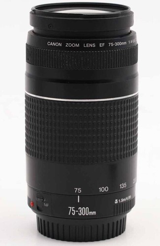 Canon 300mm 5 - ef, 4-5.6