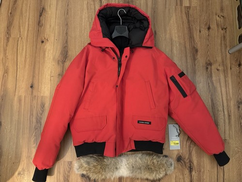 Canada goose chilliwack bomber - goose,