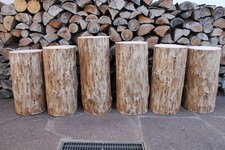 XL Baumstamm Holzstamm # 42