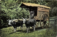 PC CPA A Transport Cart with
