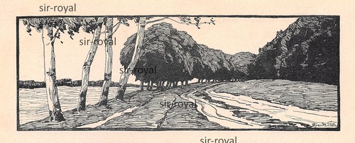 Straße mit bäumen - mit,