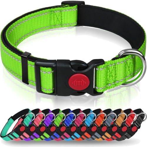 Hundehalsband nylon neopren - hundehalsband,