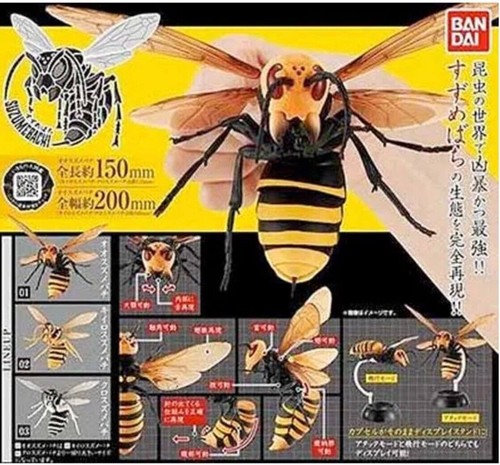 Neue bandai gashapon wasp - neue,