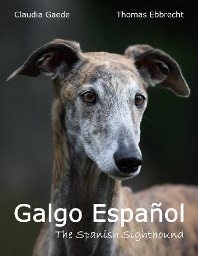 Galgo español claudia gaede - ~,