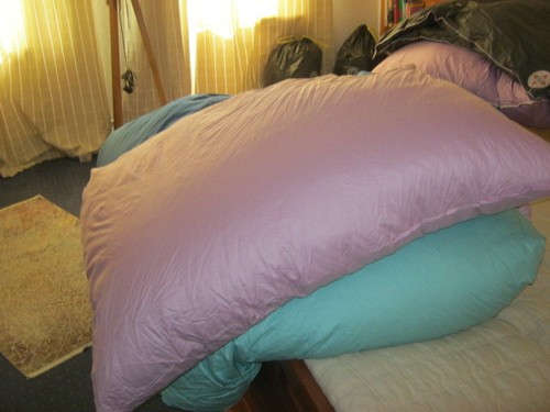 Neues inlett lila ballonbett - inlett,