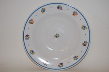 Suppenteller 23,5 cm Obstmotive Obst Pfalzkeramik  Winterling