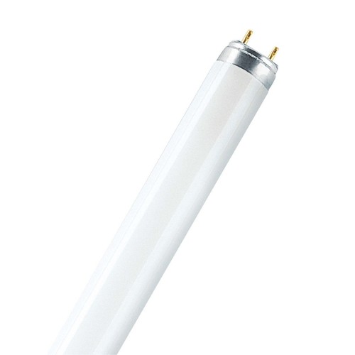 25x osram leuchtstoffröhre - 25x,