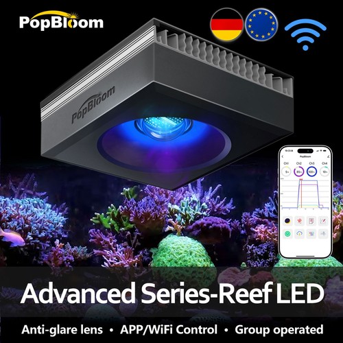 Popbloom rl90 rl115 - popbloom, rl180