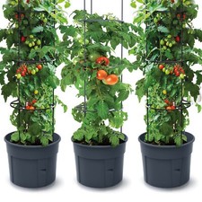 3x Topf für Tomatenpflanze
