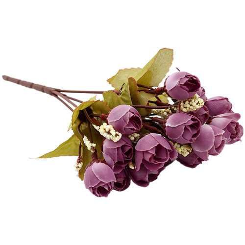 Sternknospe rosen - 22,