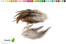 20 Hahnenfedern Dachs 10-15cm