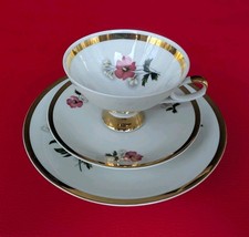 Tirschenreuth Sammeltasse Sammelgedeck Gold Rosa Rot Grün Gelb Blumen Bunt Tasse