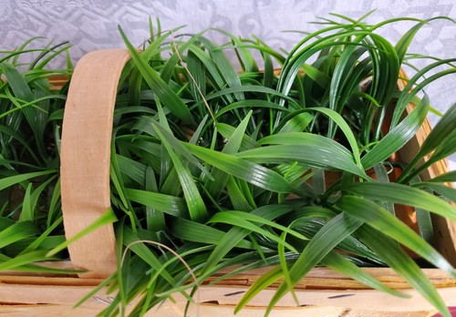 Holzkorb mit kunststoffgras - mit,