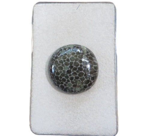 Stingray coral cabochon mm - cabochon, 20