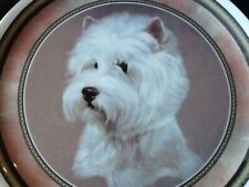 Dogs Collection Porzellan