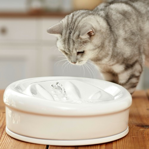 Aqua feline premium keramik - feline,