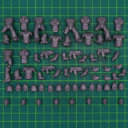 Taktischer space marines - marines, typ