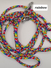 Hundeleine für kleine Hunde 2