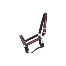 Kaltbluthalfter "Big