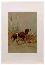 Earl maud 1864 - maud, power
