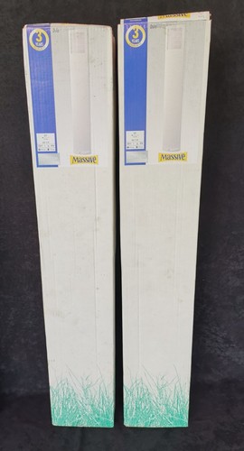 Philips massive wegeleuchte - 2,