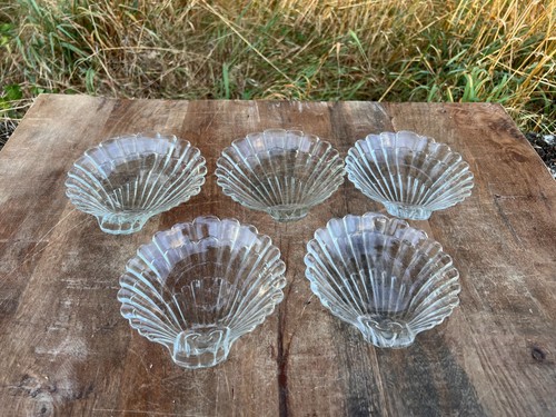 Glas muscheln jakobs - glas,