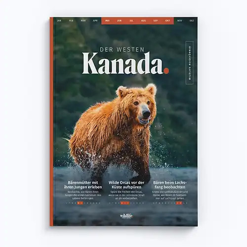 Wildful stories wildlife - wildful,