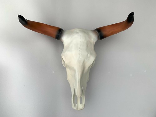 Texas stierschädel indianer - stierschÄdel,,