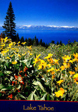 Postkarte Lake Tahoe