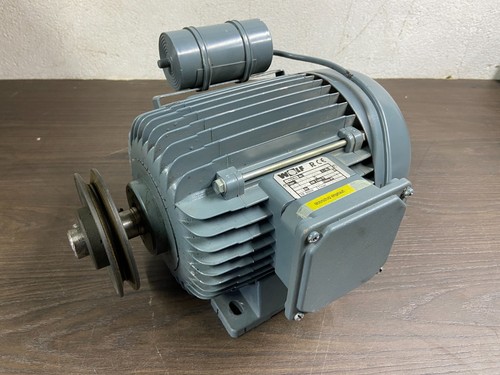 Wolf enr 2cn - wolf,