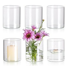 Glaszylinder Vase Kleine Vasen