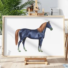 Pferd Tier v4 Schablone Malen