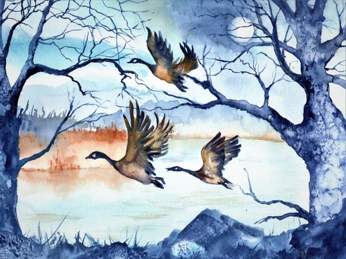 Aquarell vogelzug vogel - aquarell,