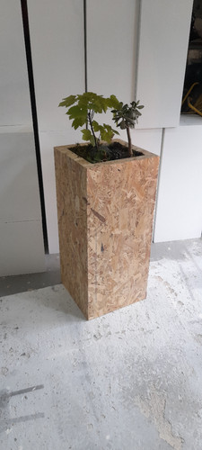 Pflanzsockel osb3 - pflanzsockel,,,