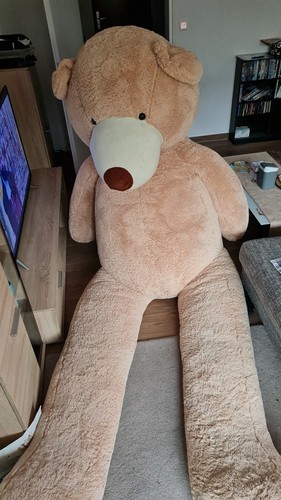 Teddy bär - teddy,