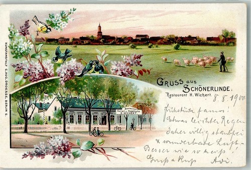 13667915 1292 schoenerlinde - -,