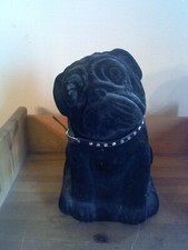 Spardose - Hund- Mops - schwarz - bellt bei Geldeinwurf