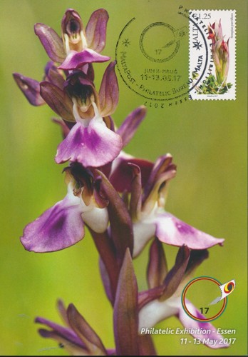 Malta ganzsache orchidee - malta,