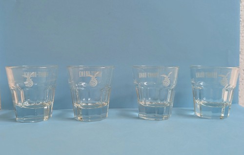 Fernet branca - 4, fernet-branca