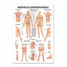 Lehrtafel "Manuelle Lymphdrainage" Rüdiger Anatomie | 70 x 100 cm | Metallleiste