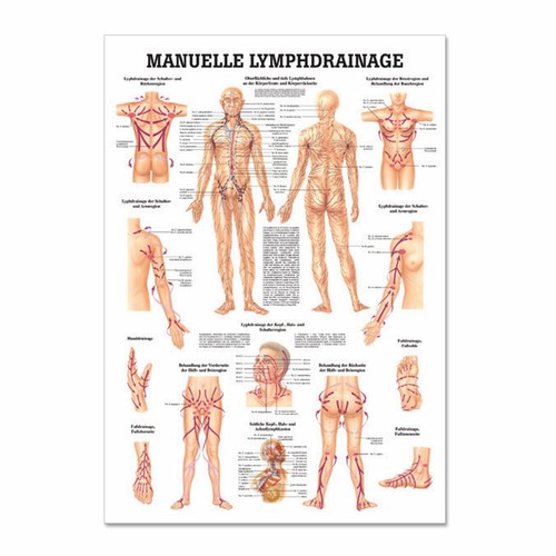 Lehrtafel manuelle - lehrtafel, "manuelle