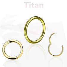 Ring Piercing Septum Nase