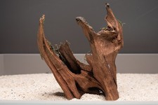 Nano Mangrovenwurzel Mangrove Echtholz-Wurzel Holz Aquariumwurzel 11 x 14 x 7cm