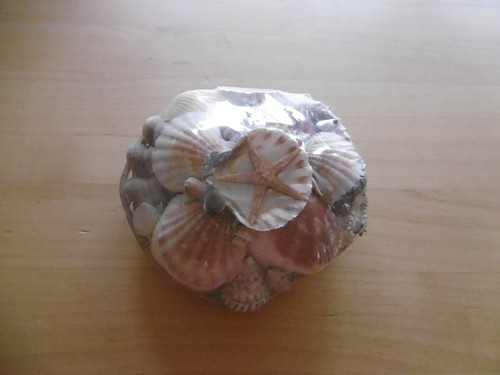 Verschiedene muscheln als deko - muscheln,