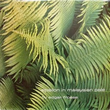 LP Edgar Froese Epsilon In