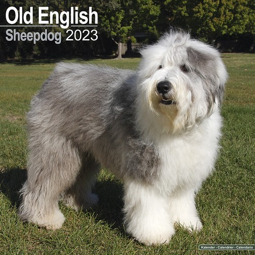 Kalender 2023 old english - kalender,