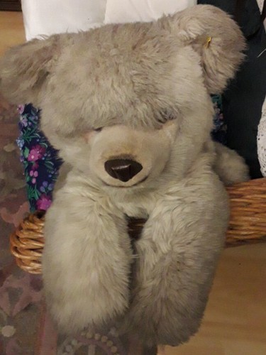 Alter steiff teddy 0338755 - alter,