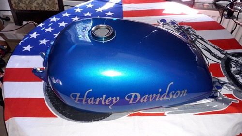 Amf harley davidson - amf, fxe